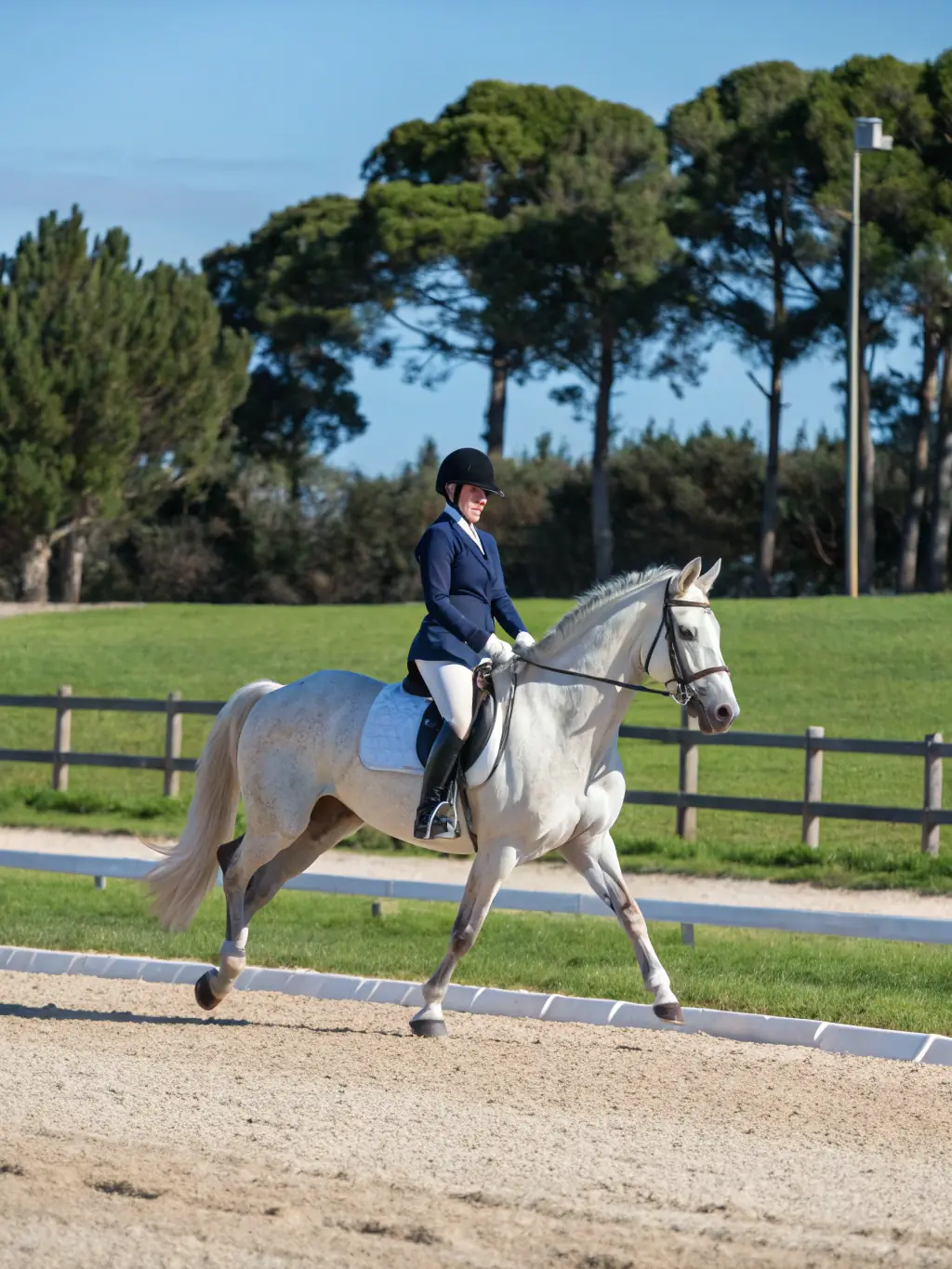 A horse and rider gracefully performing dressage movements at a Legendre Eventing clinic, emphasizing precision and harmony.