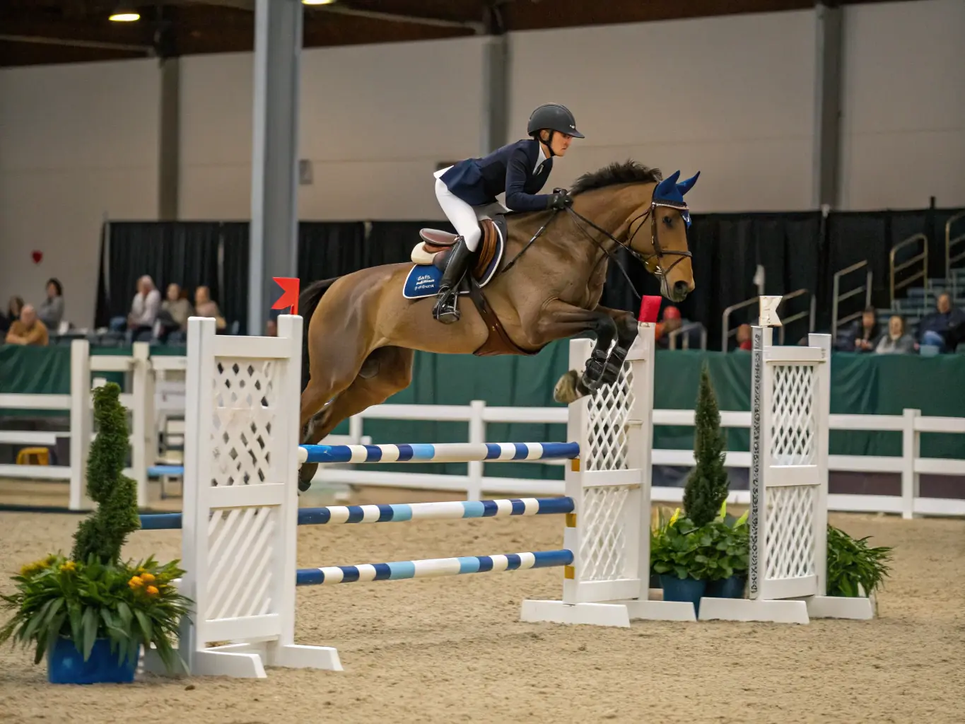 A rider and horse clearing a jump during a show jumping clinic, demonstrating skill and precision in a competitive setting.